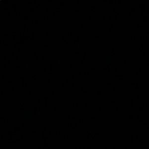 Meet your Posher, Hayley